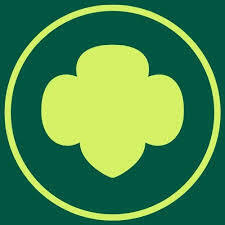 Team Page: Troop 54160